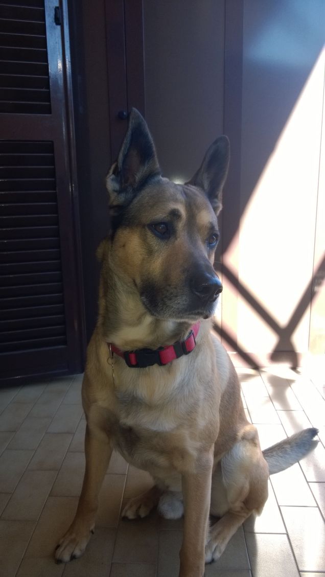 Io lo trovo bellissimo.