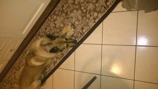 Esiste una stanchezza dell'intelligenza  ed è la più terribile delle stanchezze.