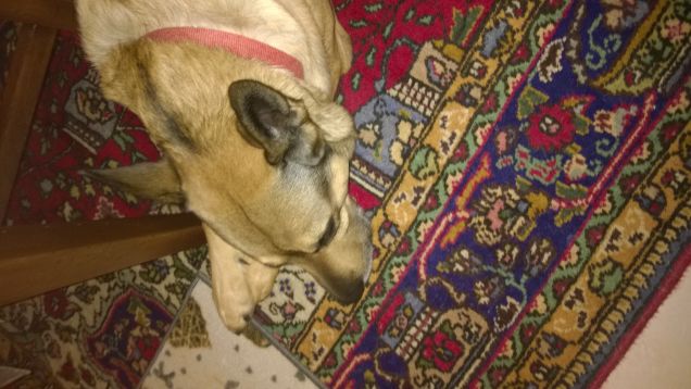 Sarai stanco amore, perché è tutto il giorno che cammini nella mia testa.