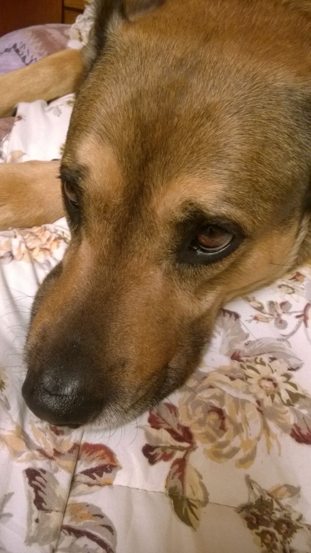 Che l'ozio sia con me.