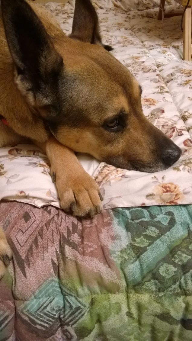 Hai avuto delle pose migliori.