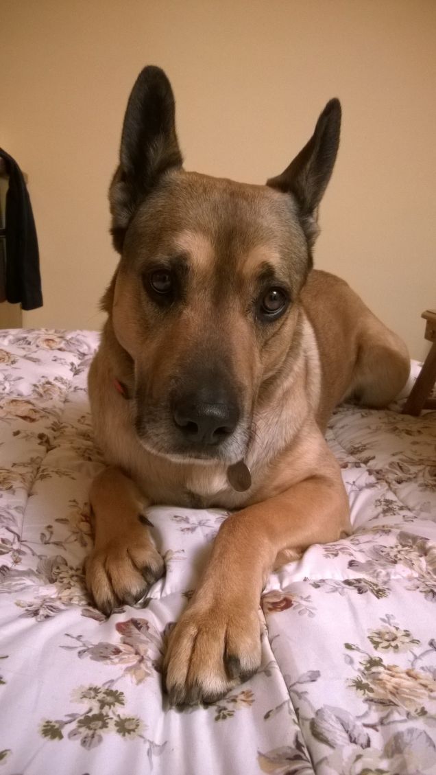 Il mio più grande amico.