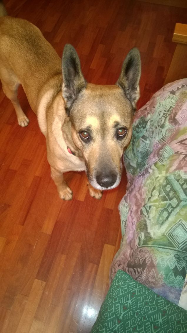 qui ci vuole un riposino.