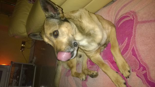 Ti faccio la linguaccia.