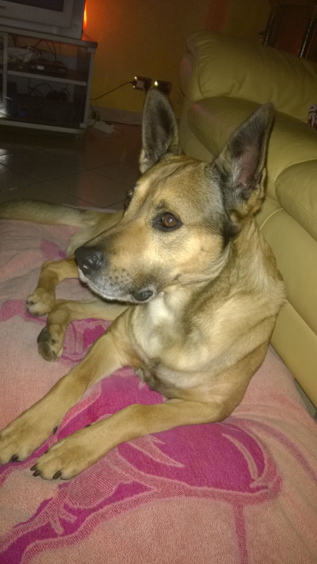 Un programma interessante.