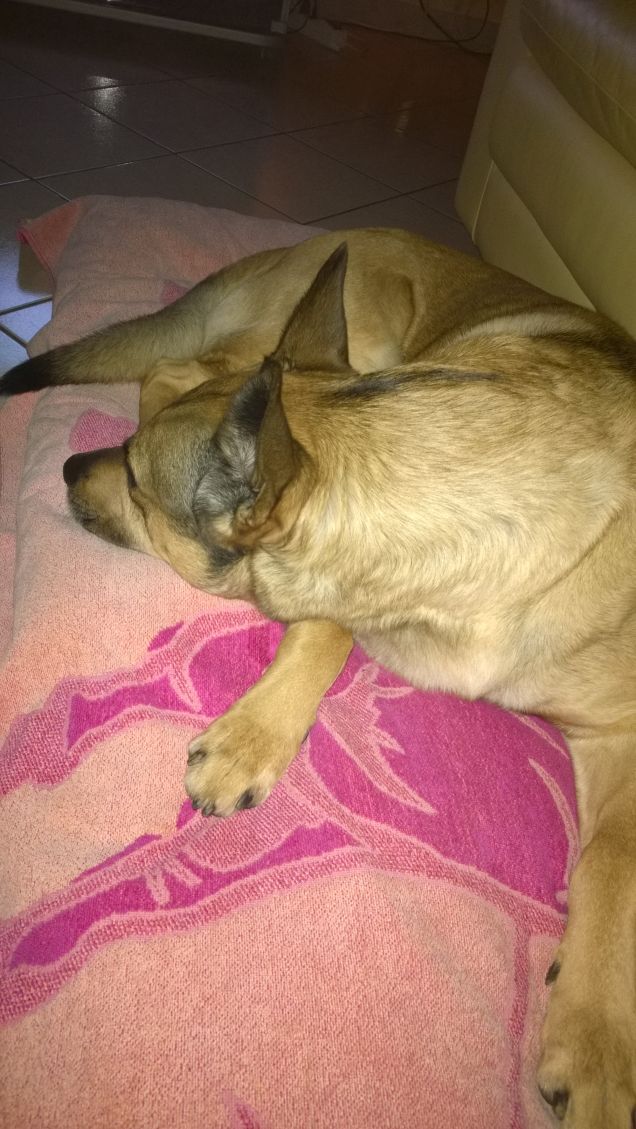 Tutte uguali ma diverse ognuna è unica come te.