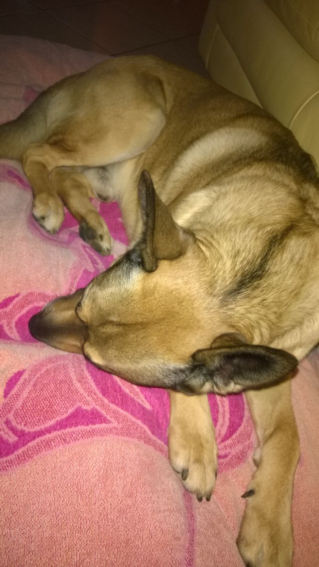 E' tempo di dormire.