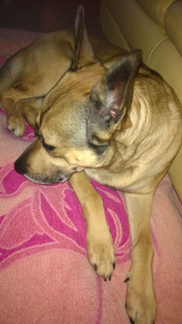 Queste foto tutte uguali, dai Artù muoviti.