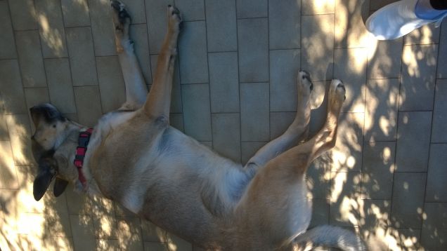 In genere qui ci dormo in Estate.