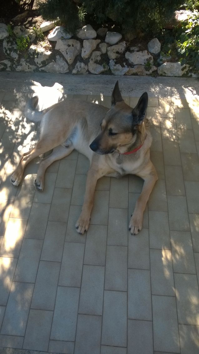 In attesa del postino.