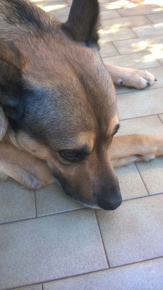 Un pisolino ci sta bene.