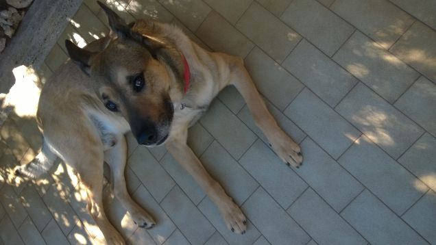 Ciao io mi chiamo Artù.