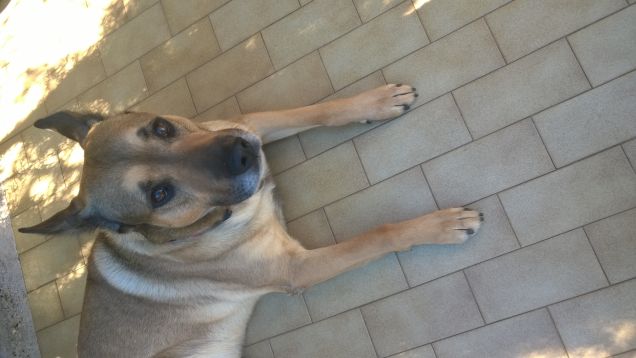 Bello farsi le foto.