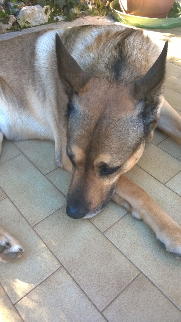 Farei volentieri una passeggiata.