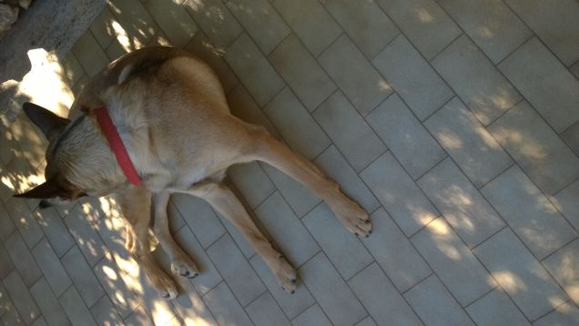 Pulizie in fase d'opera.