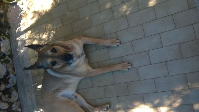 In estate questo è il mio posto preferito.