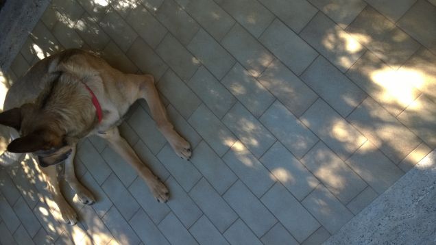 Mi vedo o sono in ombra?