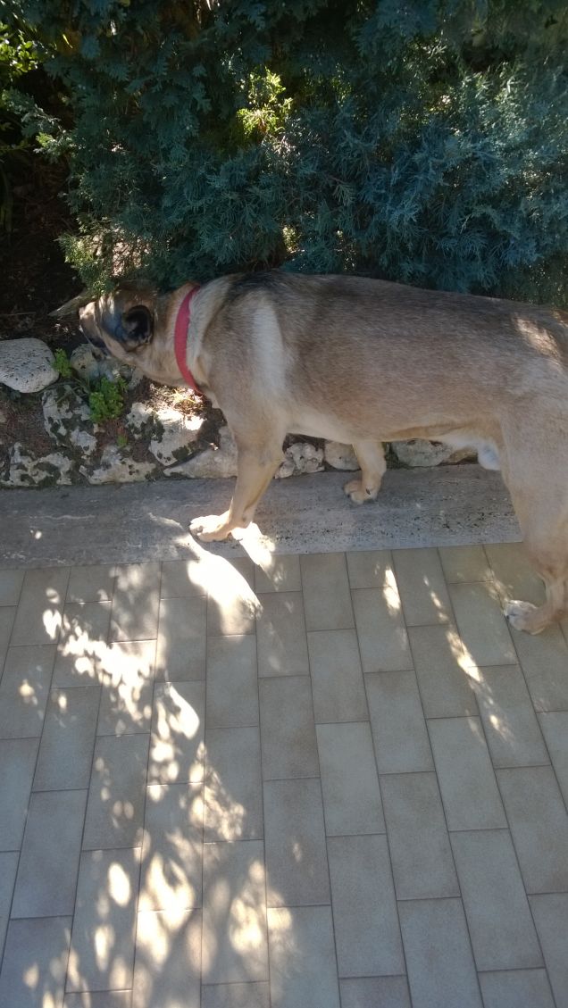 Una mattinata tranquilla.