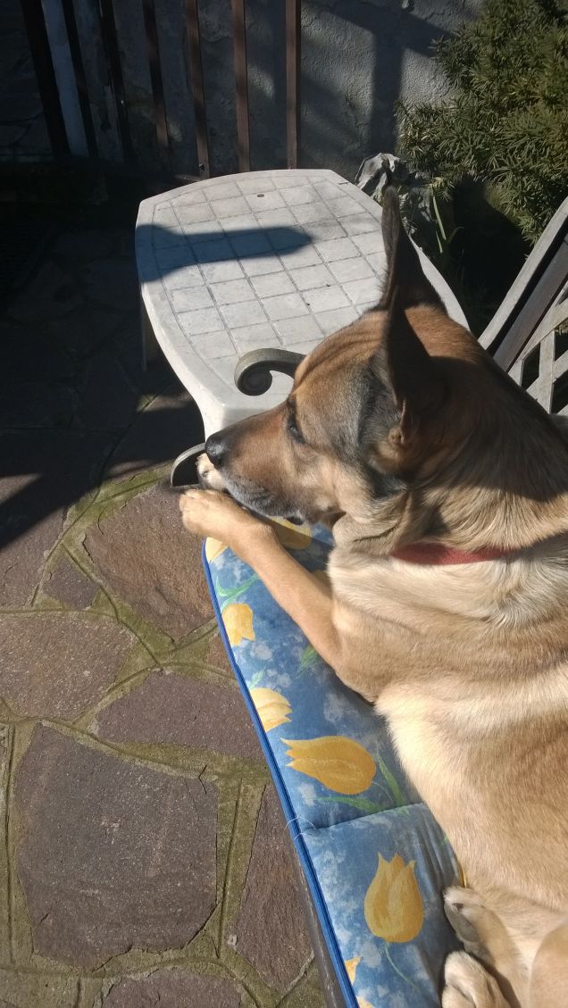 Ogni tanto la panchina ritorna.