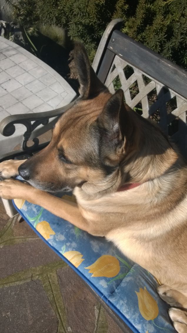 Da cucciolo e da grande sempre qui.