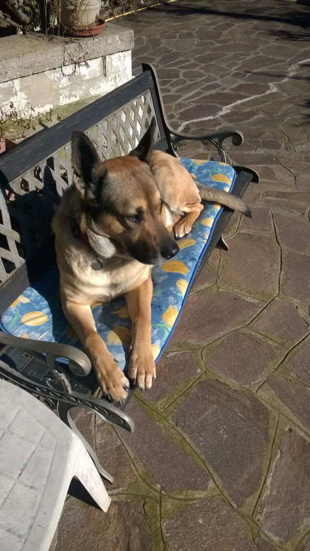 Da qui osservo tutto.