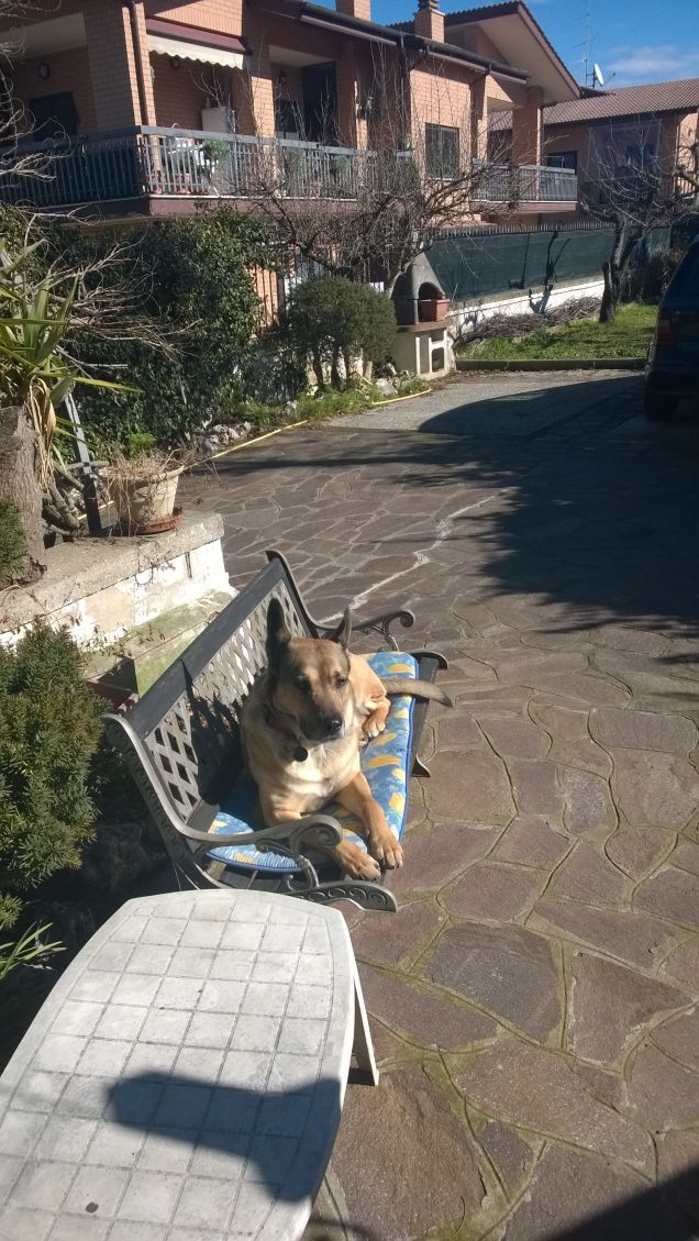 Il padrone della panchina.