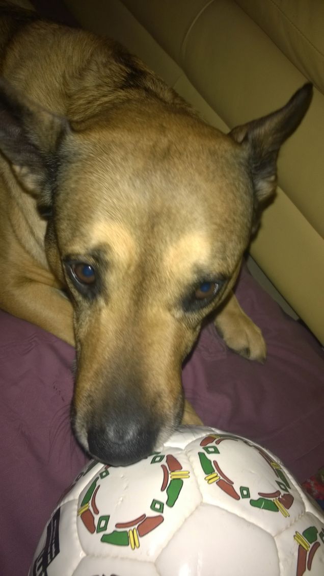 La palla bianca di Artù.1