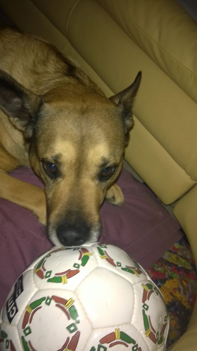 La palla bianca di Artù.2