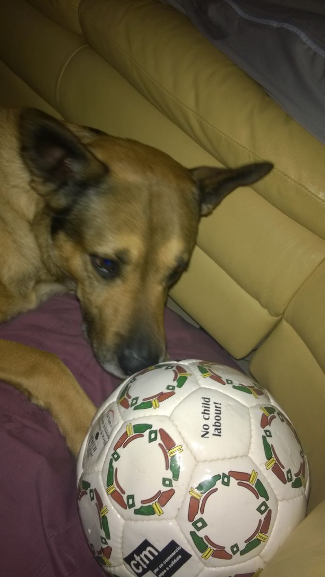 La palla bianca di Artù.3