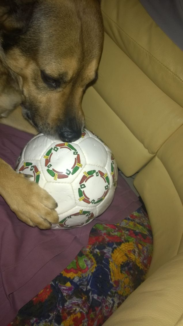 La palla bianca di Artù.4