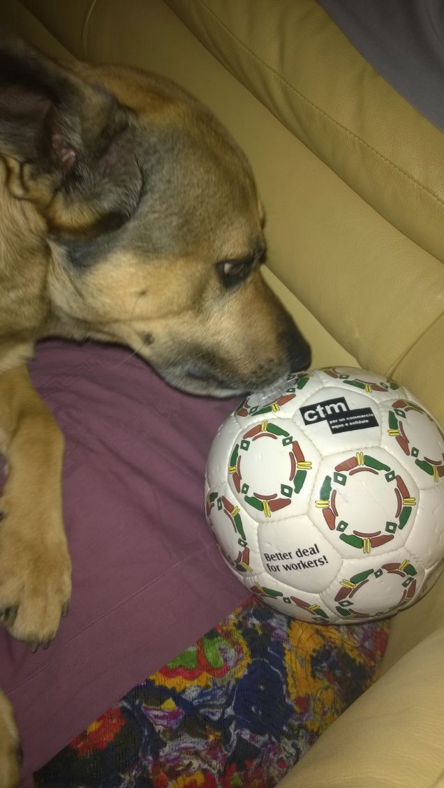 La palla bianca di Artù.5