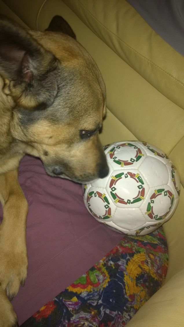 La palla bianca di Artù.6