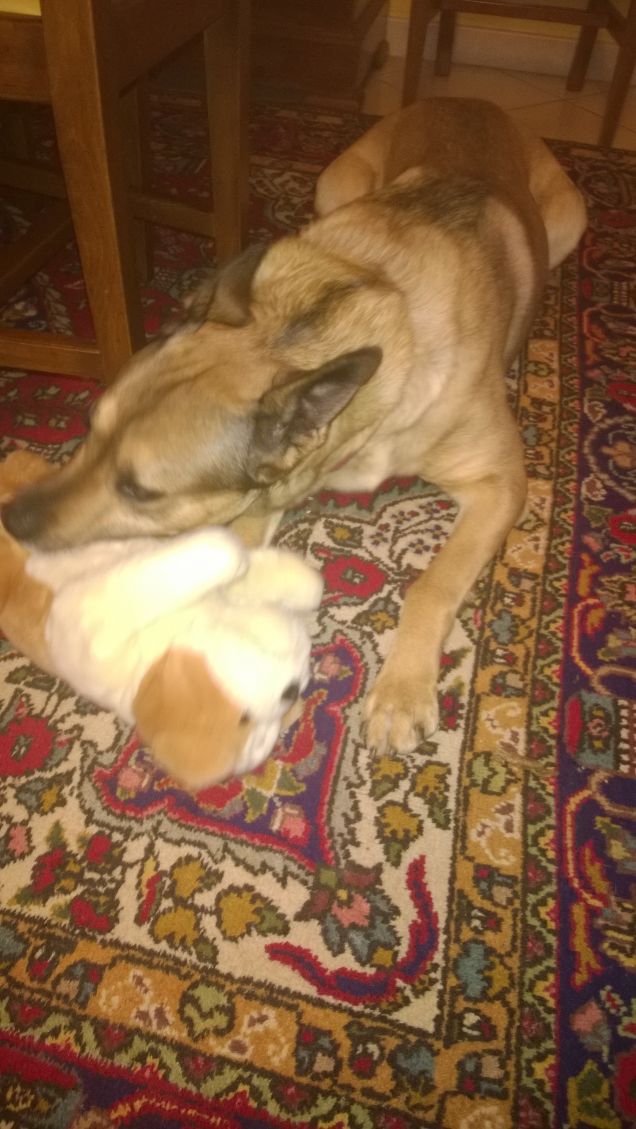 Il peluche di Artù.2