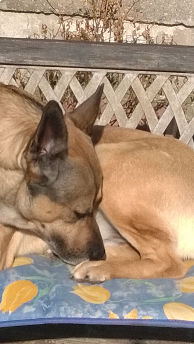  Saggezza o Stanchezza3