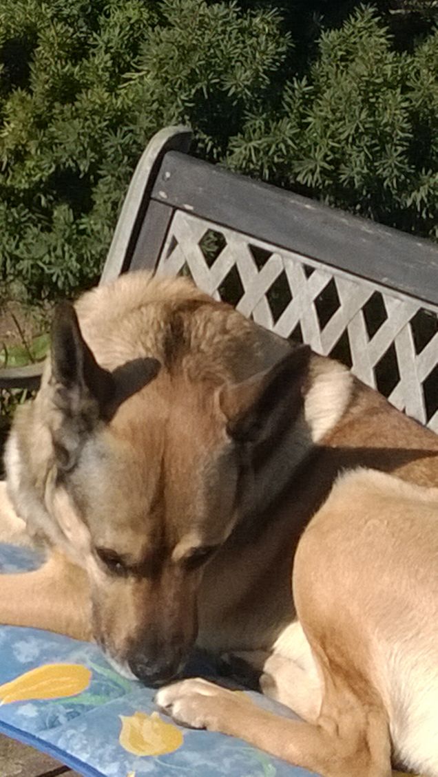  Saggezza o Stanchezza4