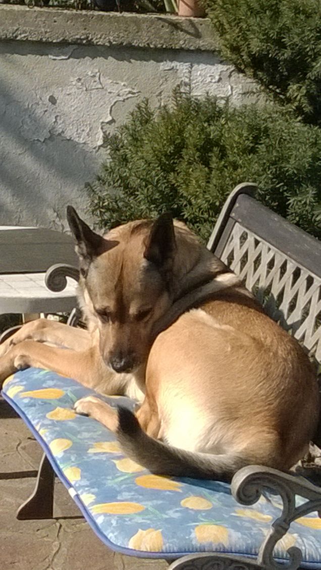  Saggezza o Stanchezza5