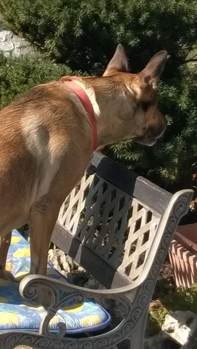  Saggezza o Stanchezza6