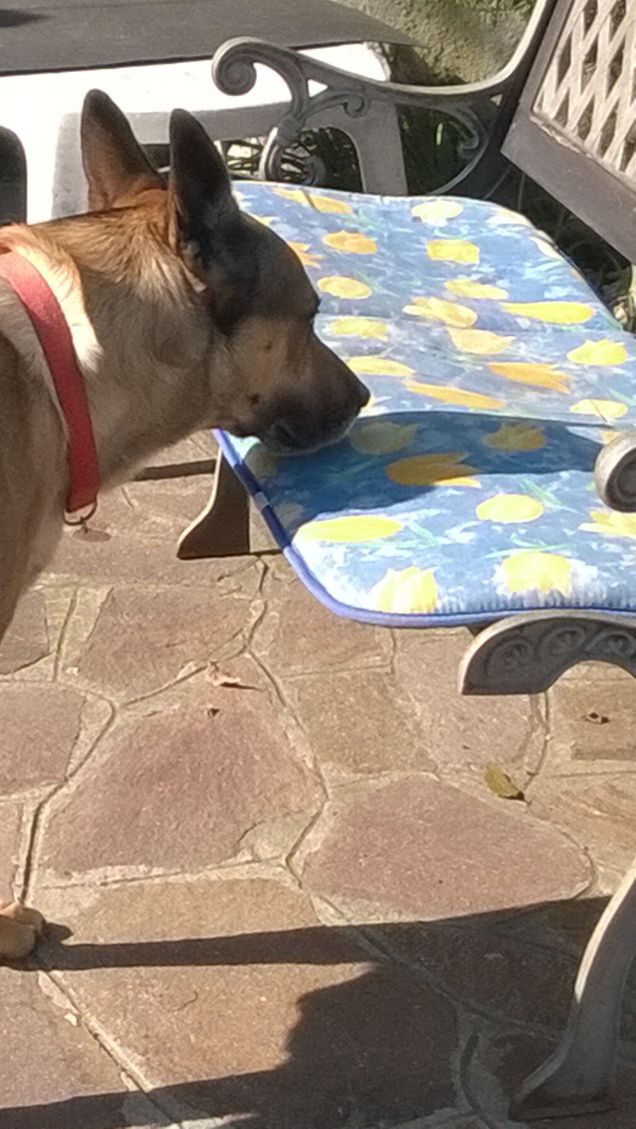  Saggezza o Stanchezza7