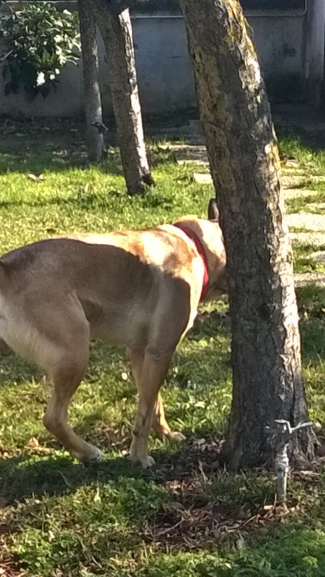  Saggezza o Stanchezza8