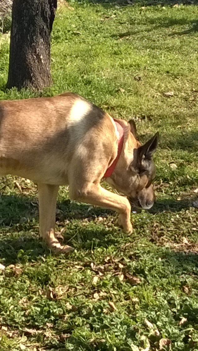  Saggezza o Stanchezza9