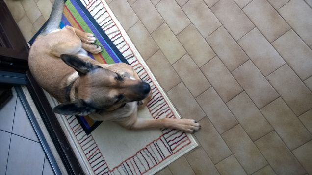 La mia vita è un arcobaleno1