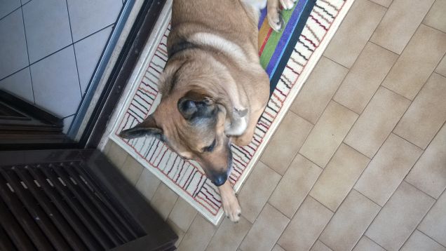 La mia vita è un arcobaleno2