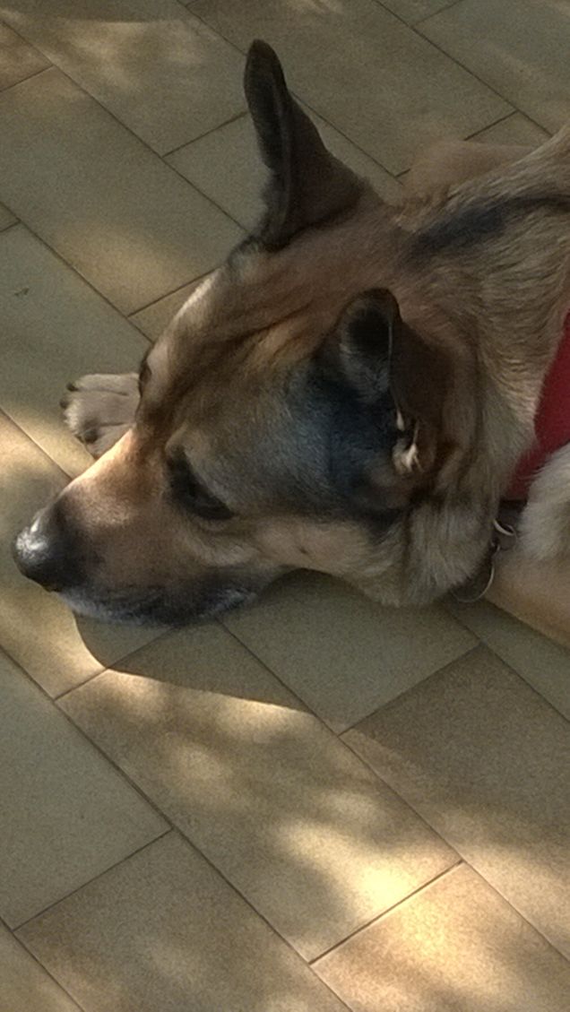 La mia vita è un arcobaleno4