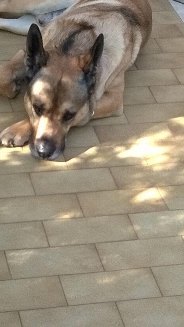 La mia vita è un arcobaleno5