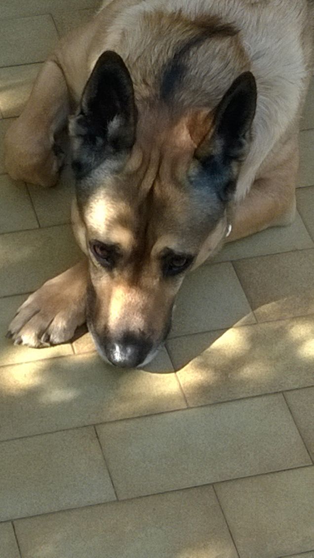 La mia vita è un arcobaleno6