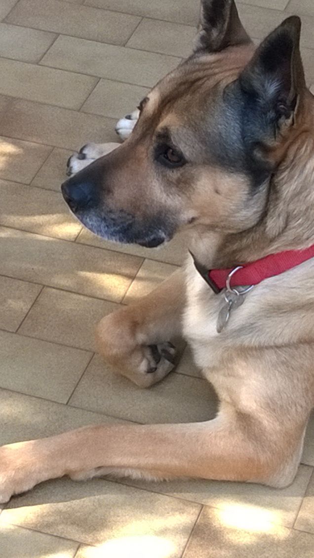 La mia vita è un arcobaleno7