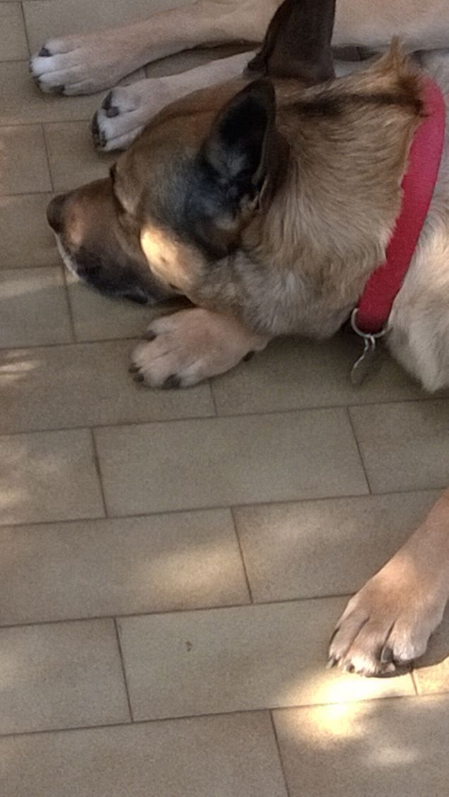 La mia vita è un arcobaleno8