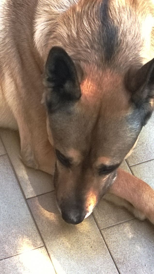 La mia vita è un arcobaleno10