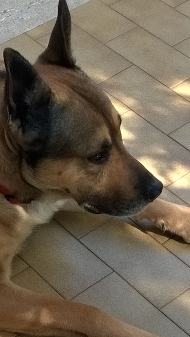 La mia vita è un arcobaleno12