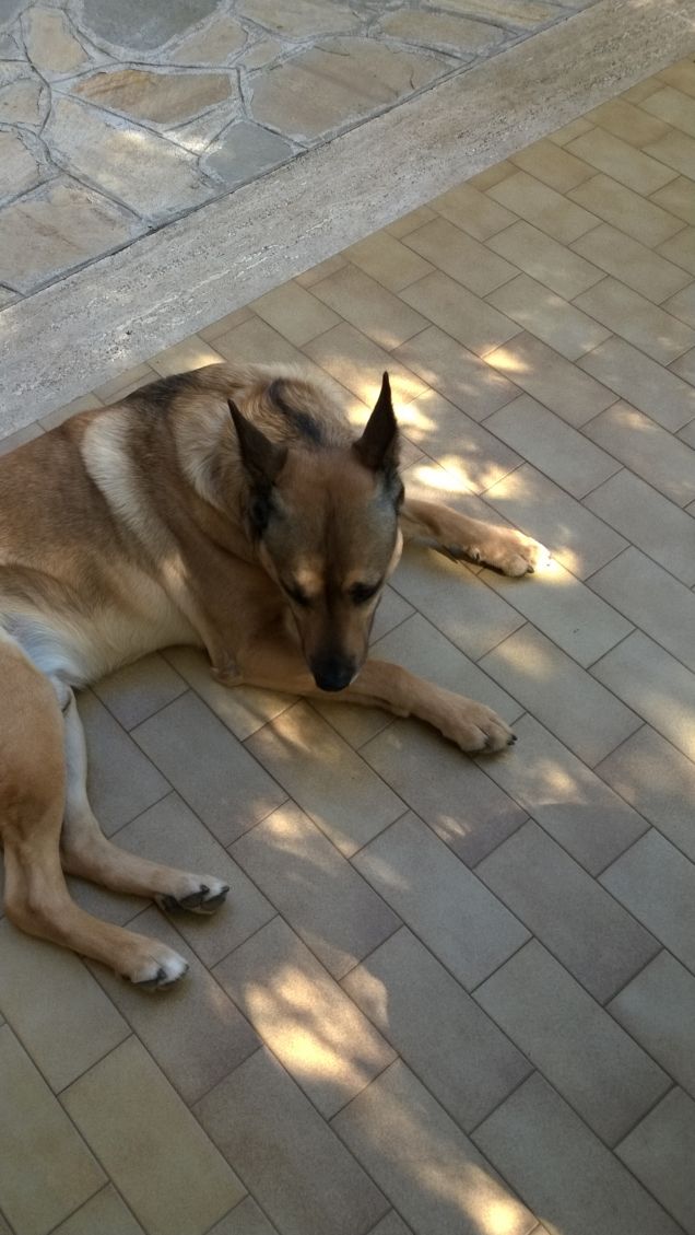 La mia vita è un arcobaleno13